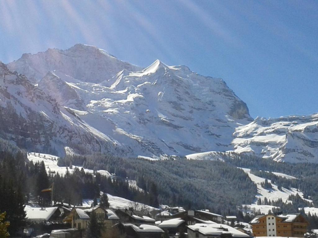 Hotel Berghaus Wengen Eksteriør bilde