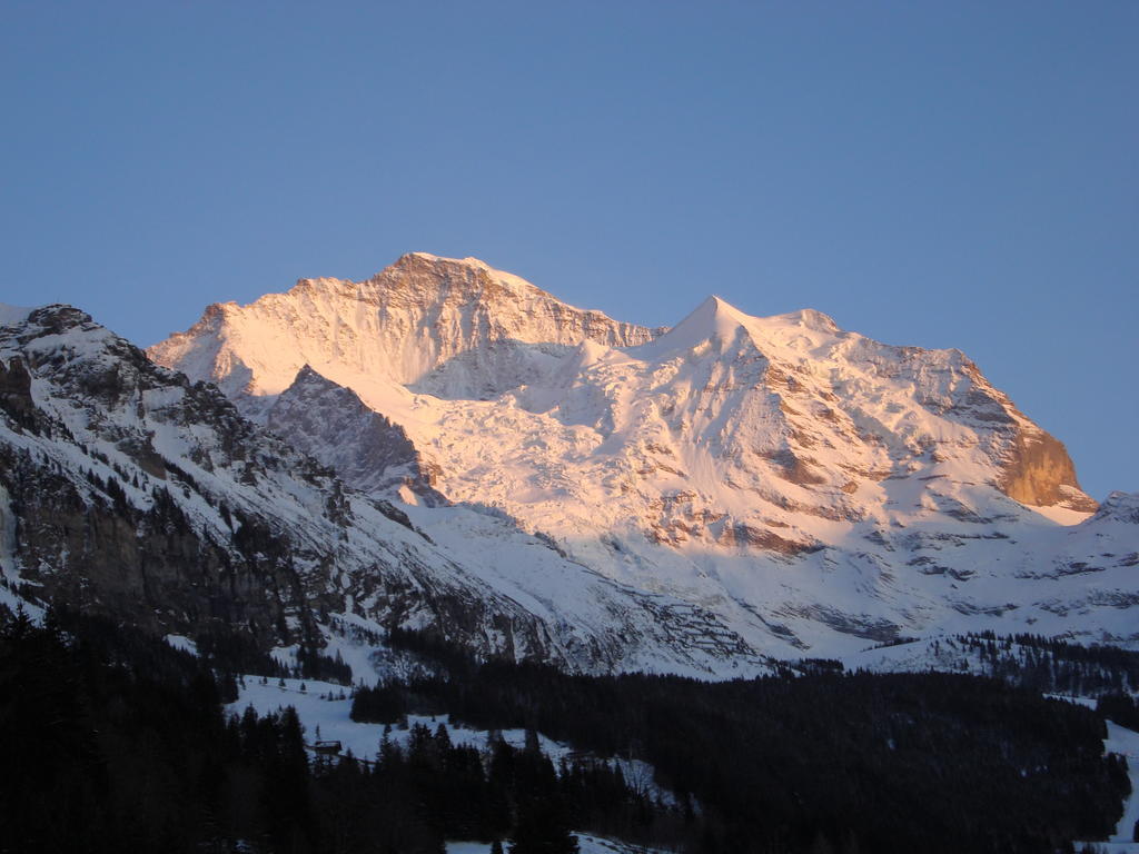 Hotel Berghaus Wengen Eksteriør bilde